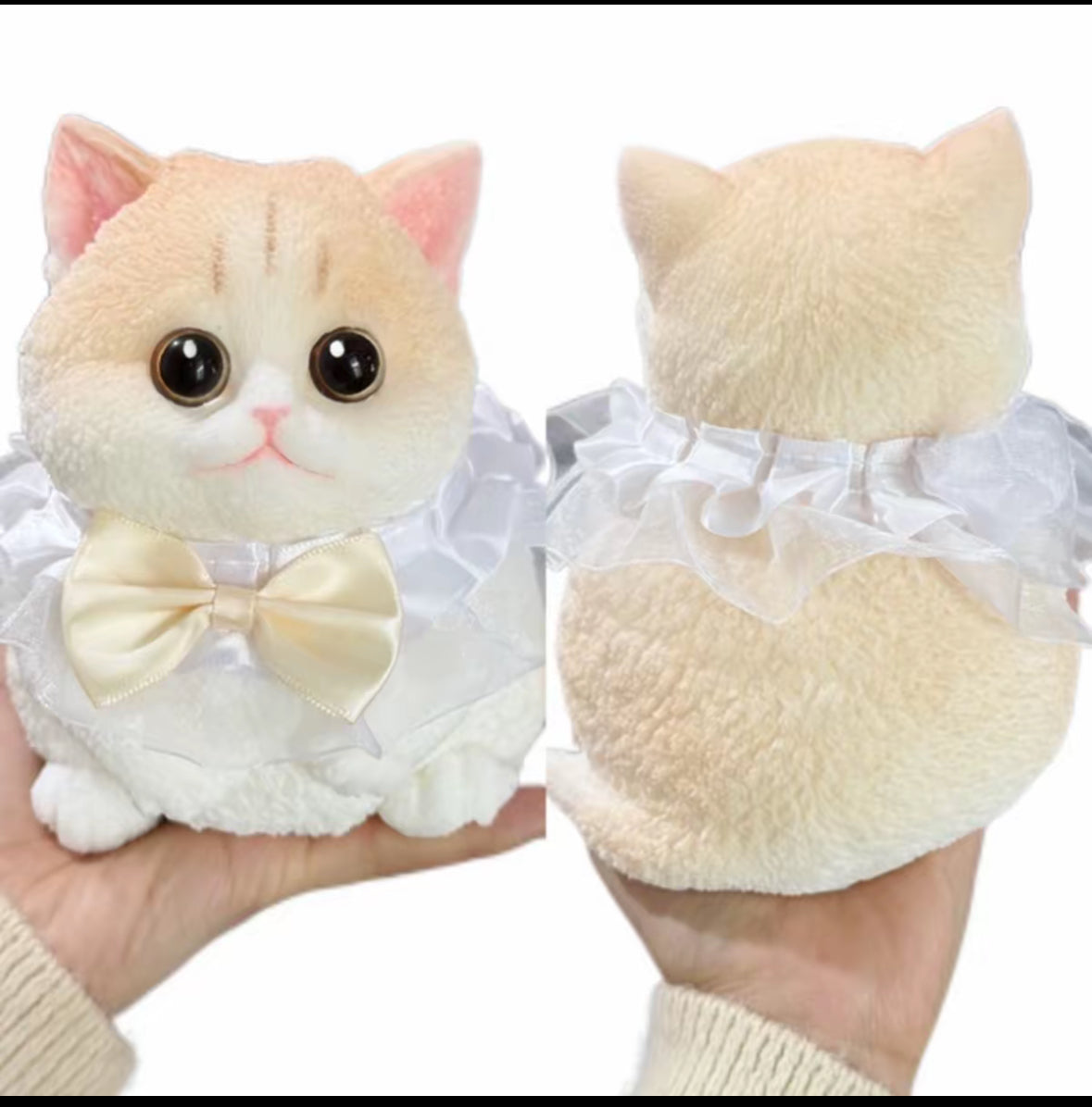 Big cat, pinch it