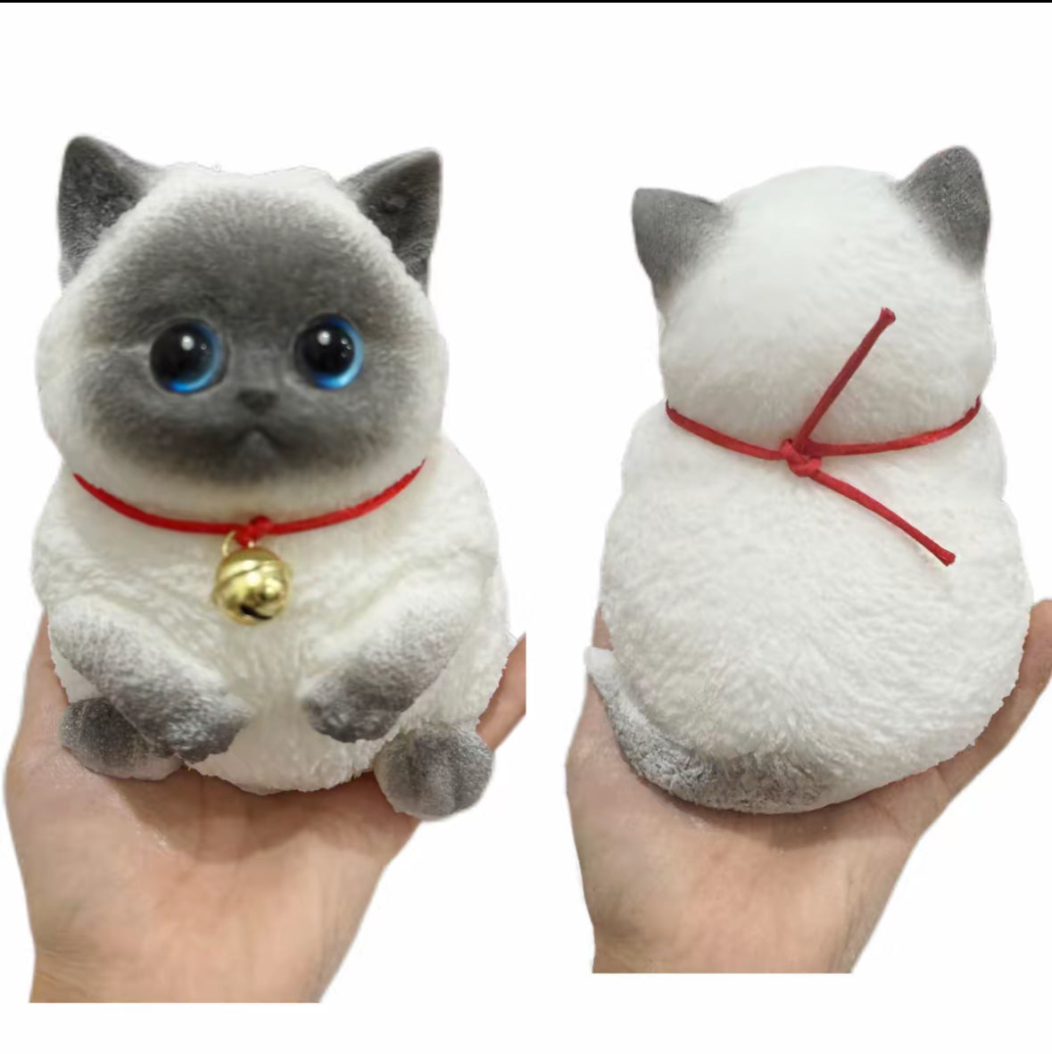 Big cat, pinch it