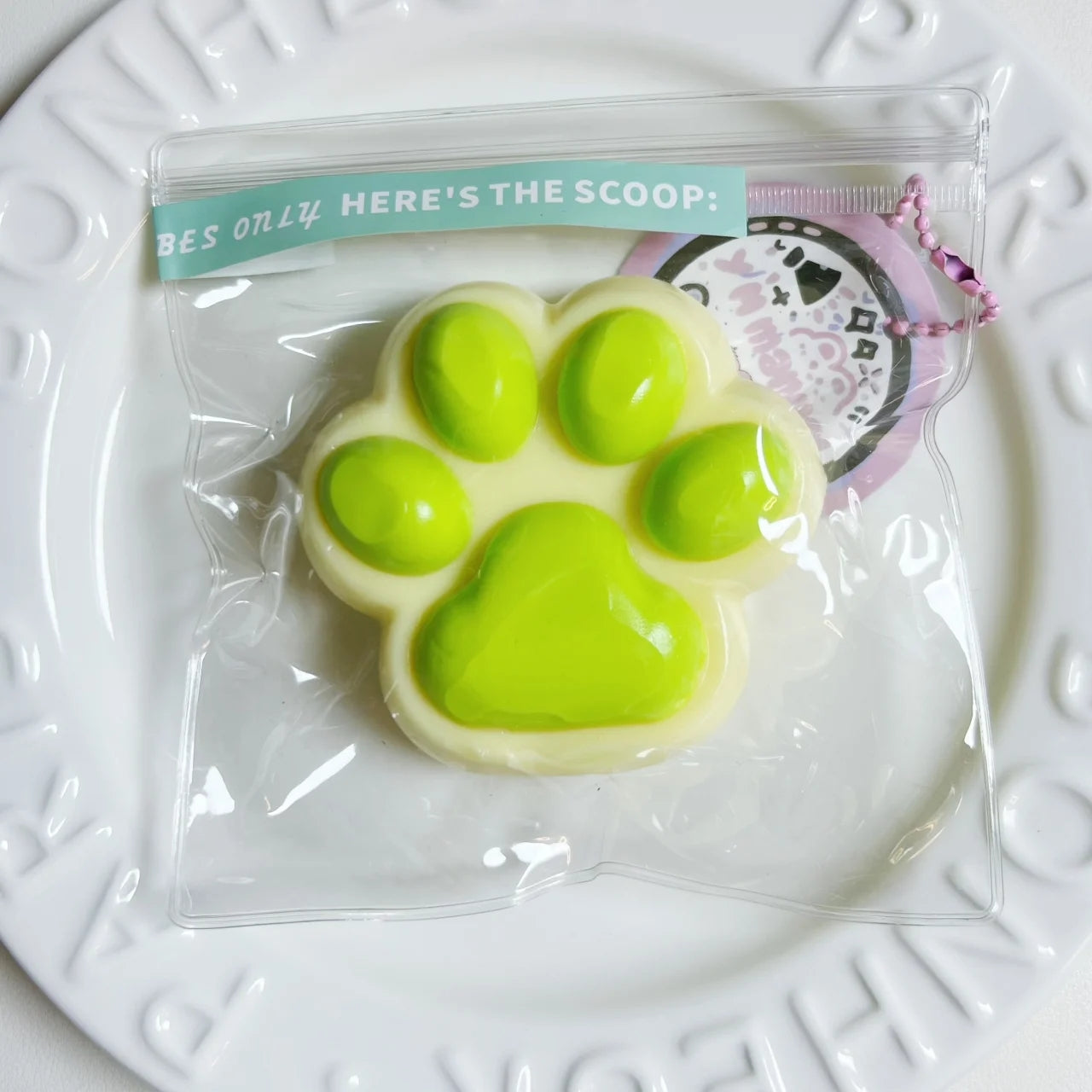 White green Cat PAWS