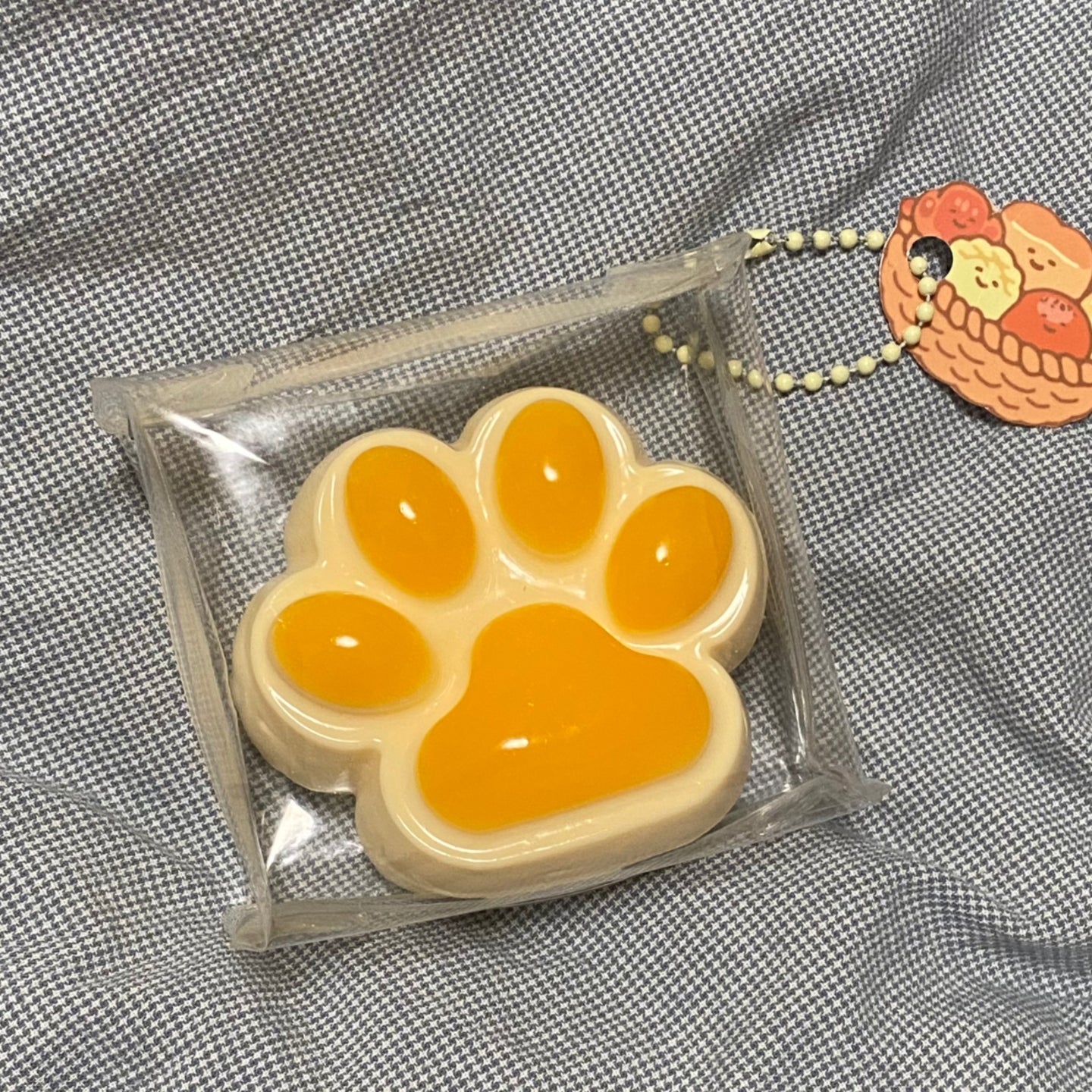 Milky white orange Cat PAWS